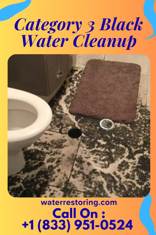 Category 3 Black Water Cleanup in Tremont City, OH
