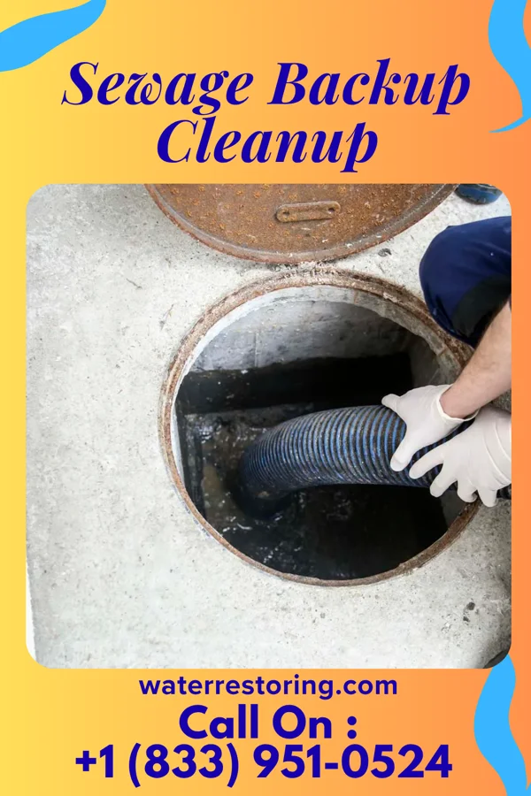 Sewage Backup Cleanup in Tremont City, OH